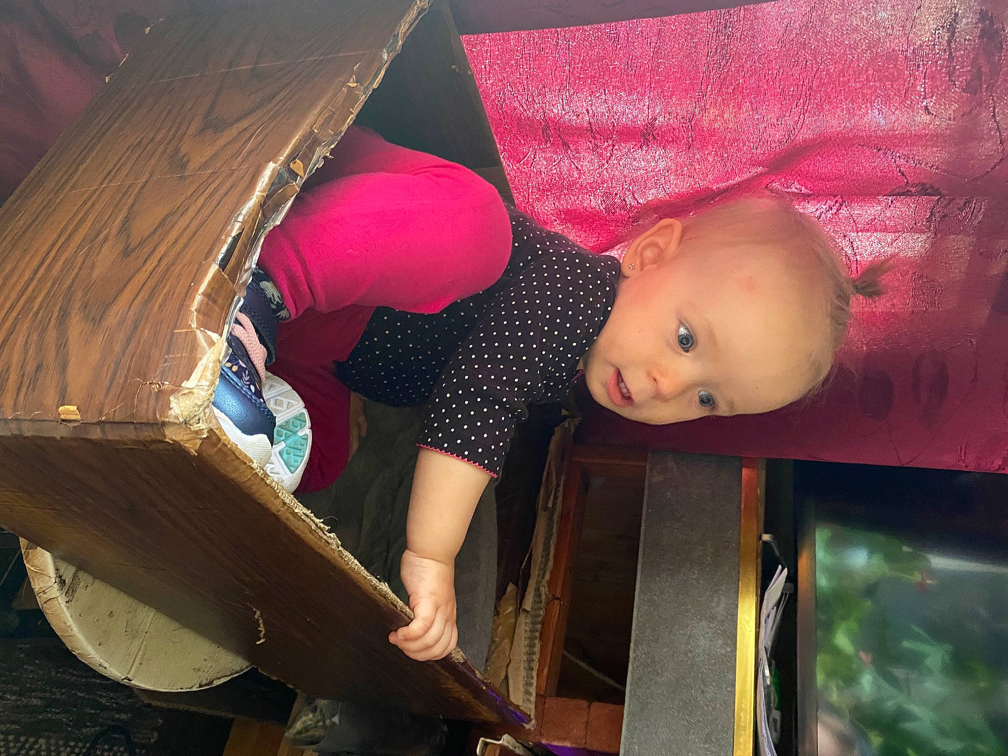 Lyvia a rejoint le concours — aidez-le/la à gagner de superbes lots ! baby_products, child, doll, flash_photography, fun, happy, human_leg, magenta, pattern, person, pink, plastic, room, sitting, textile, thigh, tints_and_shades, toy, wood