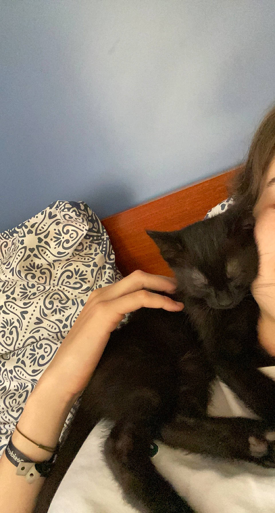 Smoke a rejoint le concours — aidez-le/la à gagner de superbes lots ! black_cat, carnivore, cat, comfort, ear, fawn, felidae, finger, foot, gesture, hand, head, human_leg, lap, nail, plant, small_to_medium_sized_cats, tail, thigh, whiskers