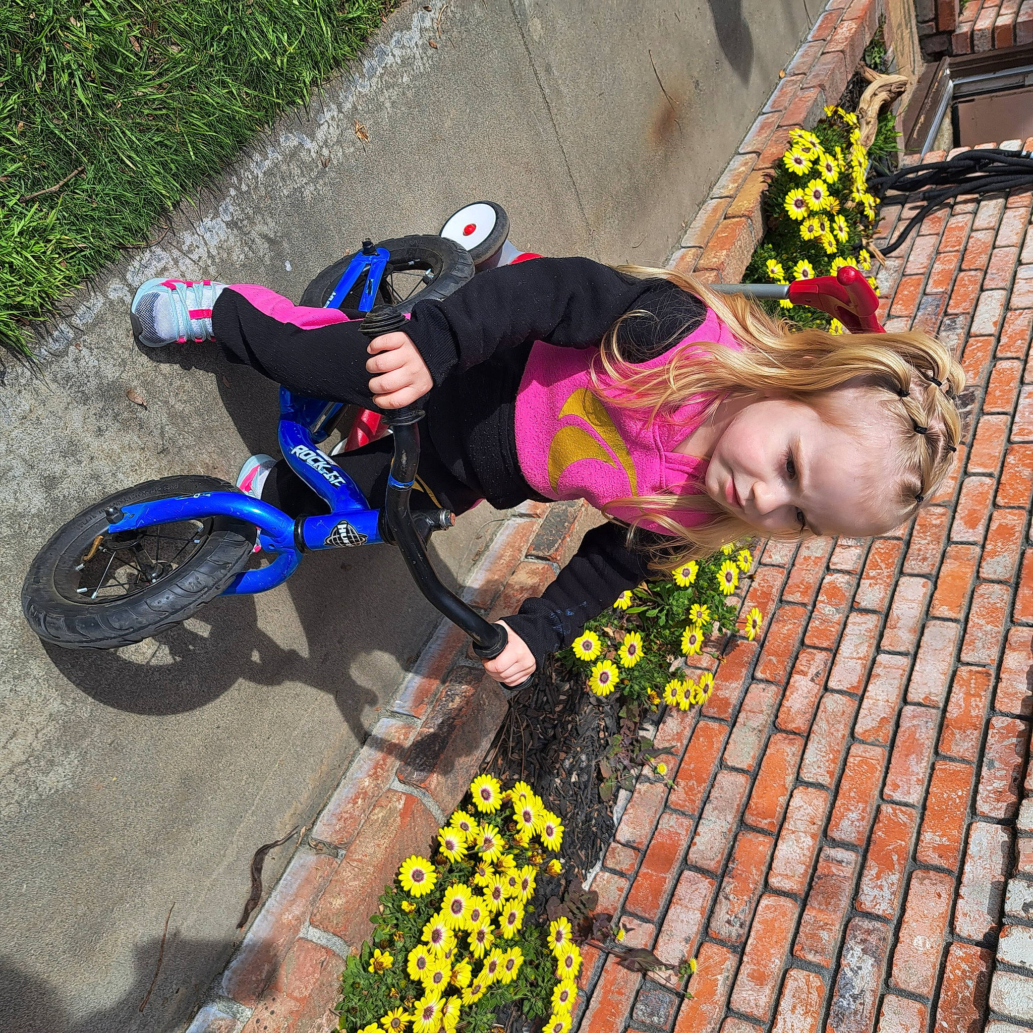 Persephany joined the competition — help win amazing prizes! asphalt, bicycle, bicycle_accessory, bicycle_wheel, child, flower, fun, grass, happy, hat, leisure, people_in_nature, person, plant, recreation, sidewalk, tire, toddler, vehicle, wheel