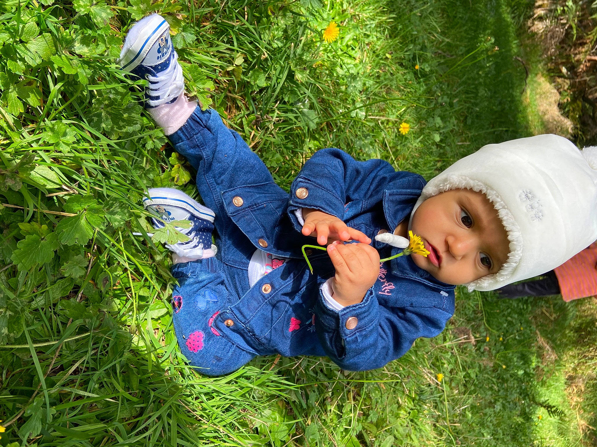 Ilyanna a rejoint le concours — aidez-le/la à gagner de superbes lots ! child, forest, fun, grass, happy, headwear, leaf, organism, people_in_nature, person, photography, plant, play, recreation, toddler, tree