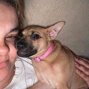 Olive is registered to the contest to win money with this photo: person, dog, pet, collar, snuggling, close_up, face, cute, brown_dog, pink_collar, indoor, cuddle, human_hand, casual_clothing, smile, affection, animal, companion, friendship, relaxation