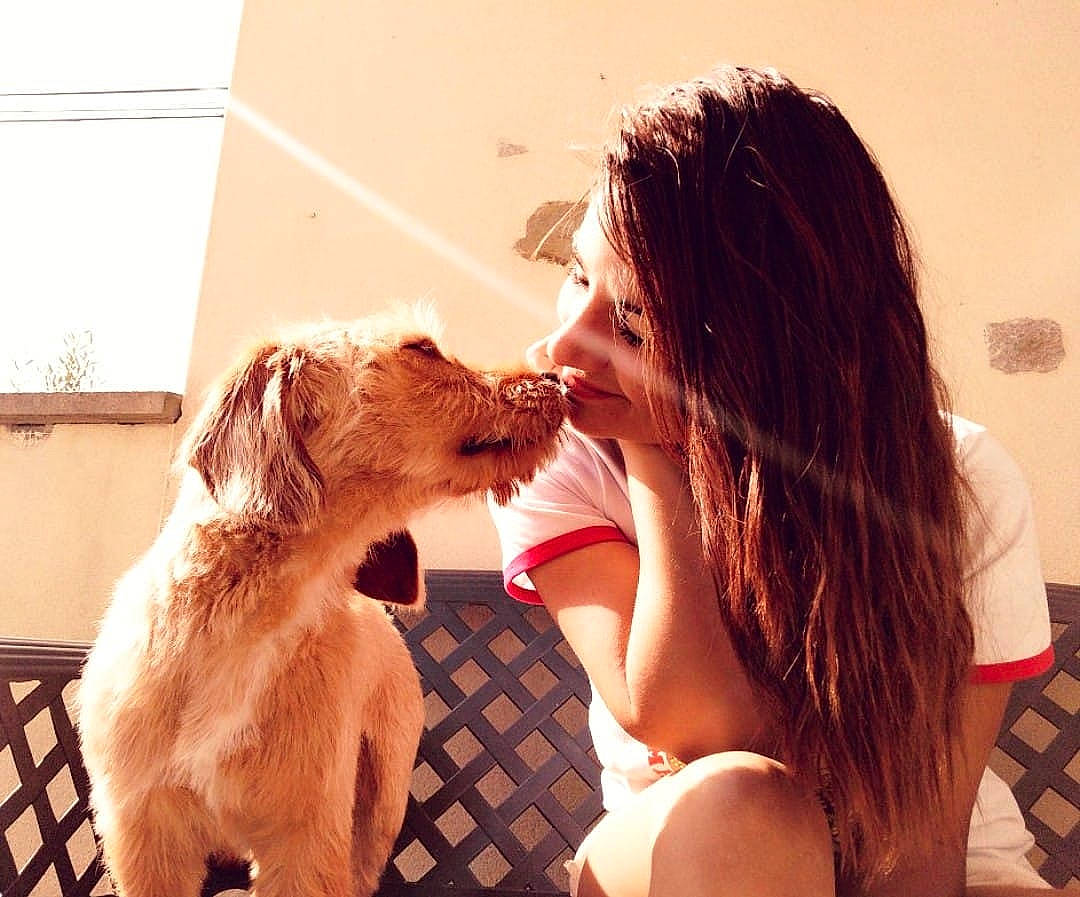 Peter a rejoint le concours — aidez-le/la à gagner de superbes lots ! canidae, carnivore, companion_dog, dog, dog_breed, friendship, fun, gesture, happy, interaction, love, puppy_love, selfie, sporting_group, summer