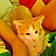 Alvin
