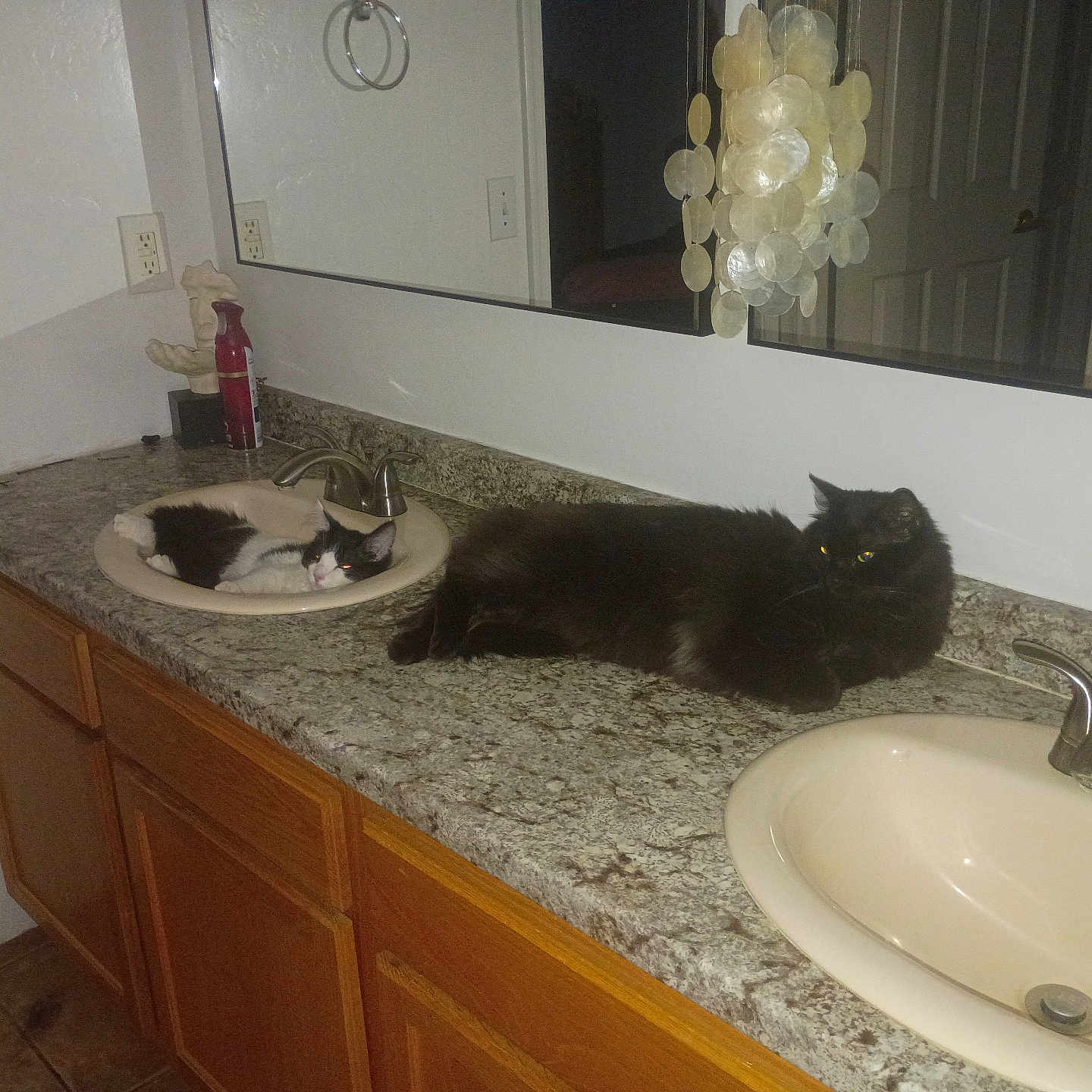 Dice And Ringo