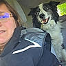 Roxy participe au concours pour gagner de l'argent avec cette photo : dog, border_collie, passenger, car, car_interior, selfie, portrait, smiling, happy, pet, animal, black_and_white, fur, floppy_ears, seated, back_seat, seatbelt, eyeglasses, outdoor_light, road_trip