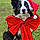 Roxy