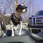 Romeo is registered to the contest to win money with this photo: