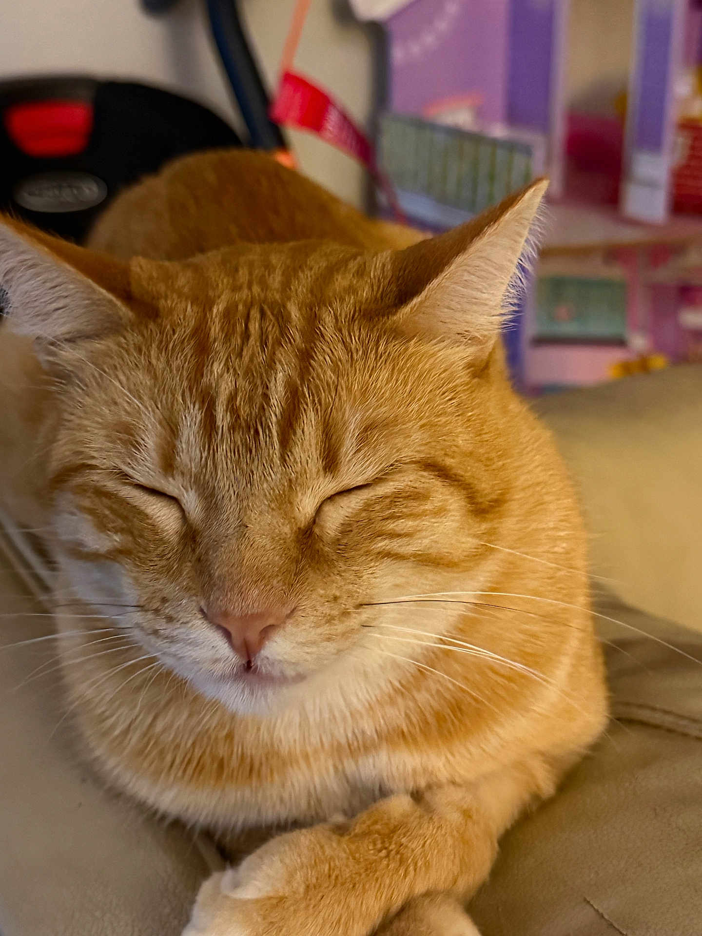 Max