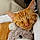 Tigger