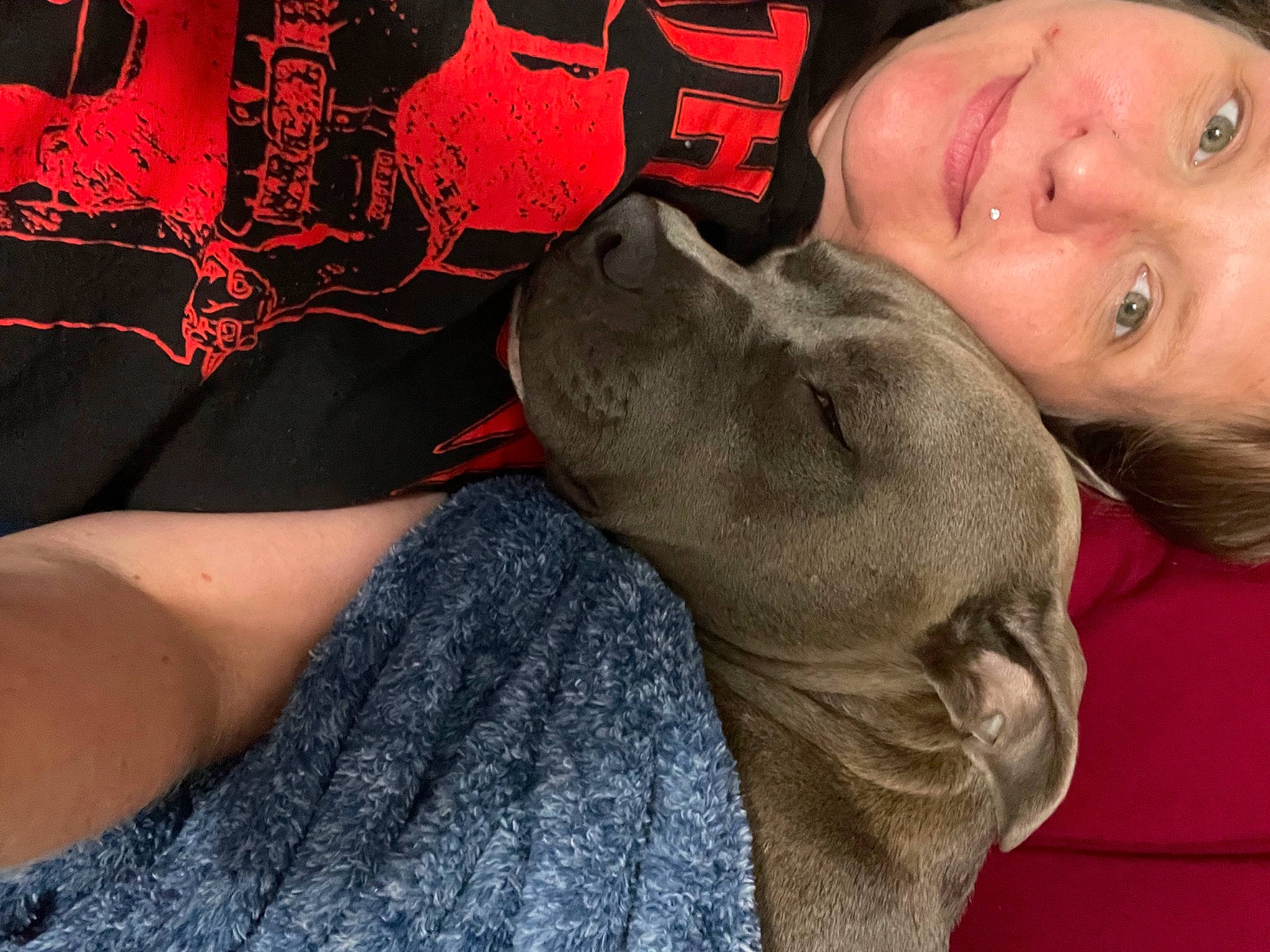 Midnight is registered to the contest to win money with this photo: carnivore, comfort, companion_dog, cool, dog, dog_breed, ear, elbow, fawn, gesture, human_leg, muscle, selfie, smile, snout, sporting_group, t_shirt, thigh, whiskers, wrinkle