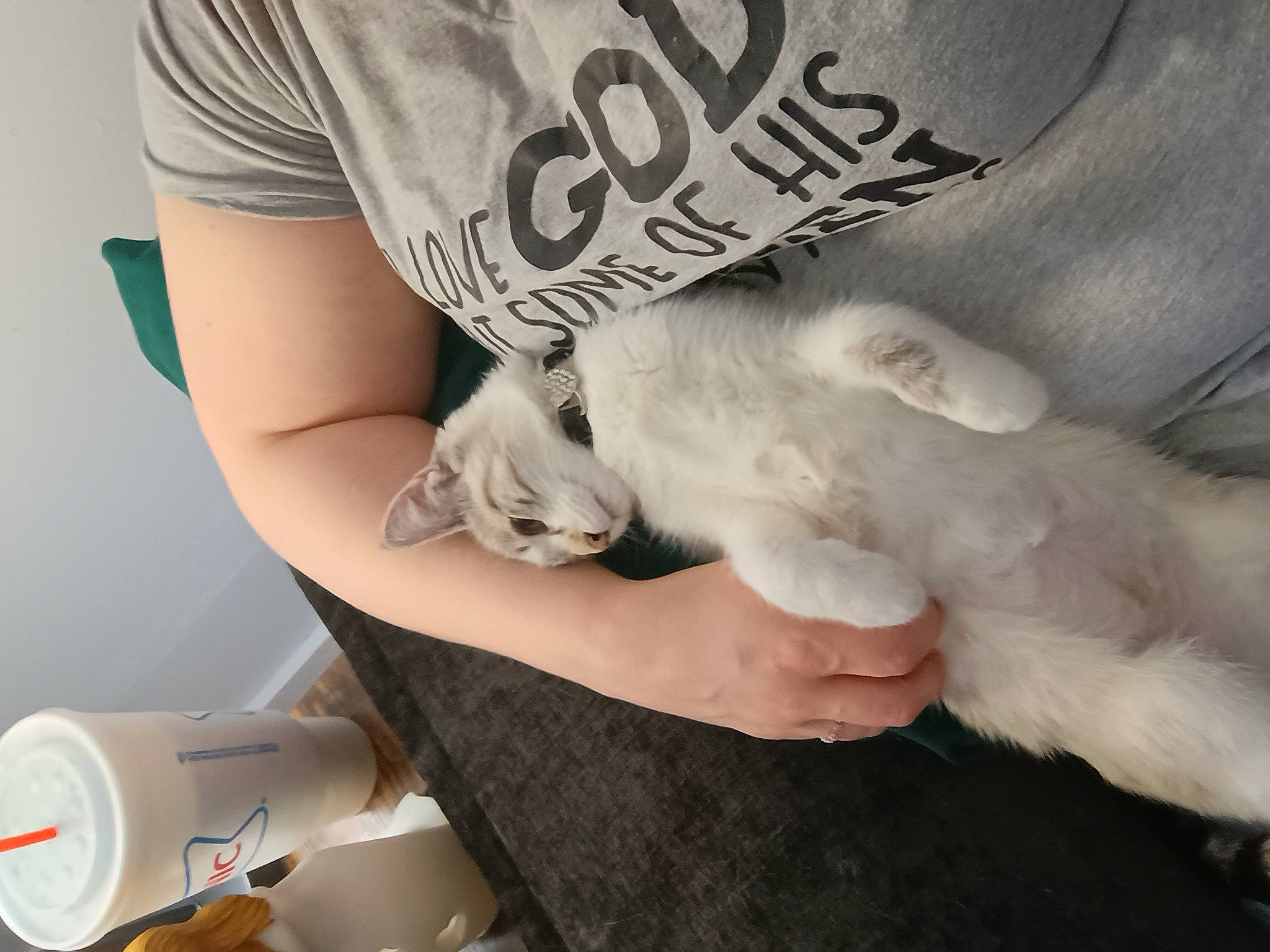 Izzy joined the competition — help win amazing prizes! beard, carnivore, chest, companion_dog, dog_breed, elbow, eyewear, felidae, finger, gesture, hand, human_leg, knee, nail, sleeve, small_to_medium_sized_cats, sunglasses, thigh, whiskers, wrist