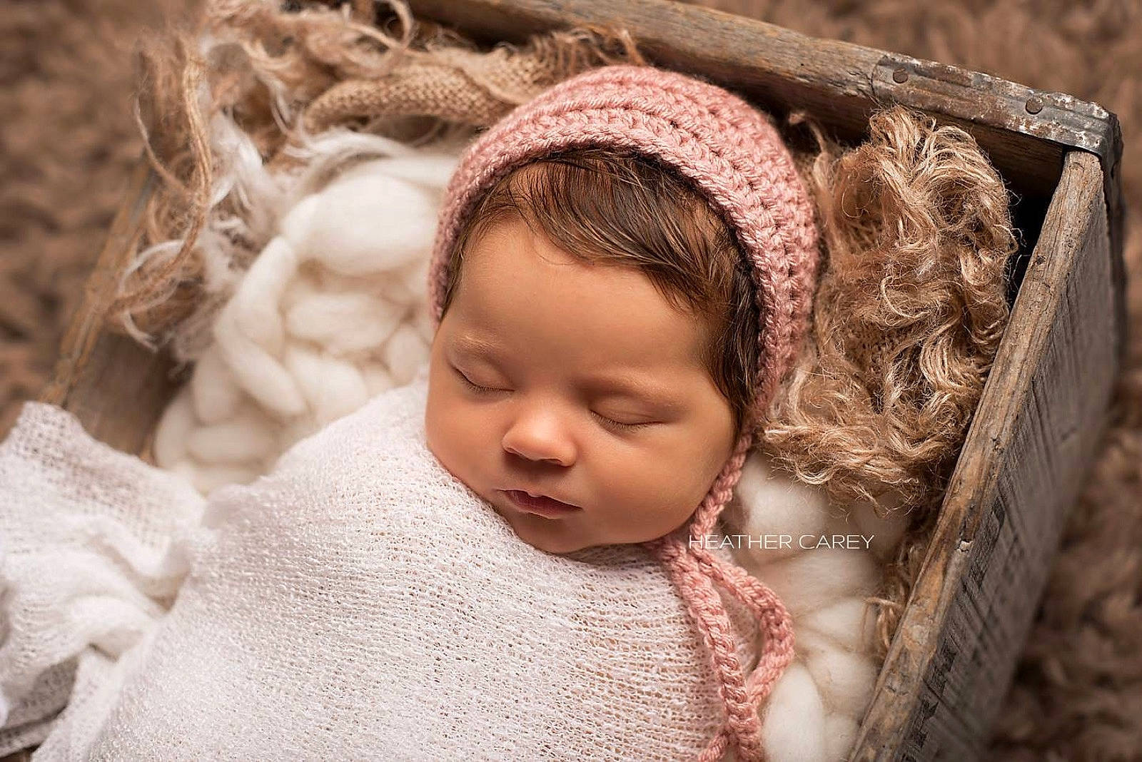 Dottie joined the competition — help win amazing prizes!