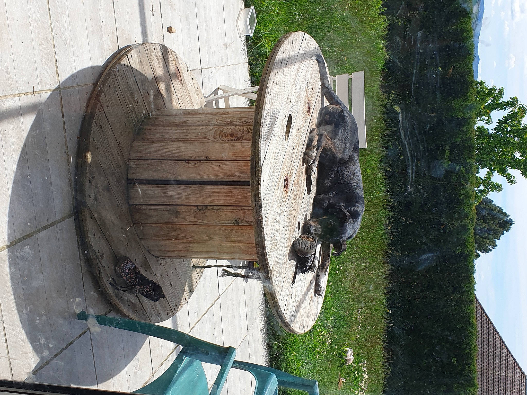 Rio participe au concours pour gagner de l'argent avec cette photo : art, auto_part, automotive_tire, automotive_wheel_system, boats_and_boating_equipment_and_supplies, circle, grass, metal, motor_vehicle, plant, sculpture, sky, statue, tree, trunk, vehicle, water, watercraft, wheel, wood