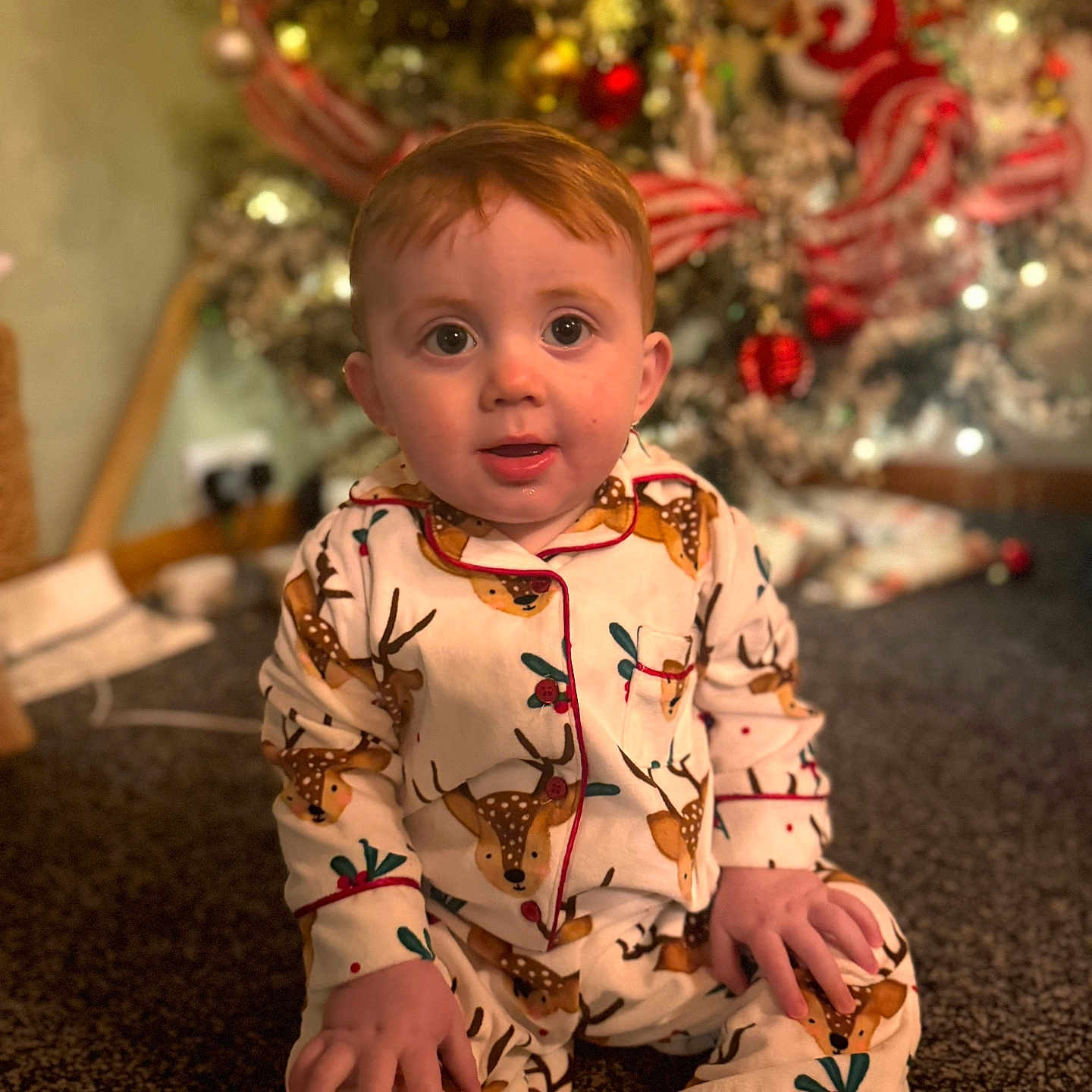 Cedri is registered to the contest to win money with this photo: carpet, celebration, child, christmas_tree, cute, decorations, festive, holiday, holiday_lights, home, indoor, ornaments, pajamas, portrait, reindeer_pattern, sitting, smiling, toddler, warm_lighting, young_child