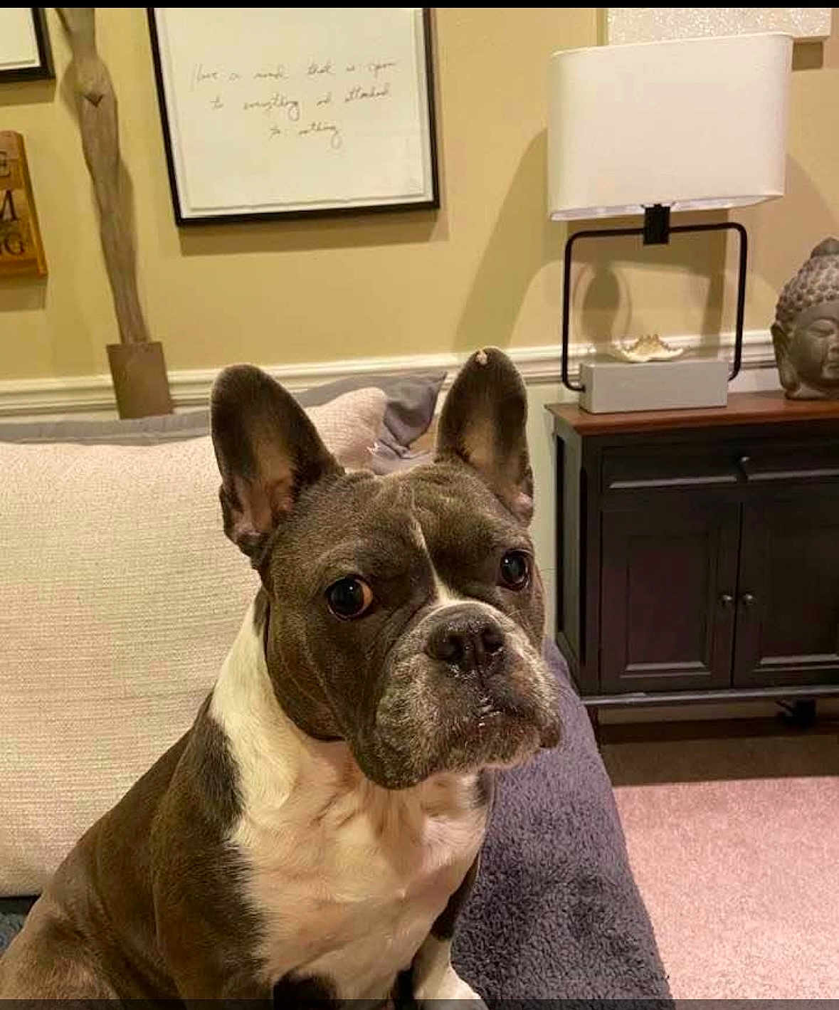 Zoey