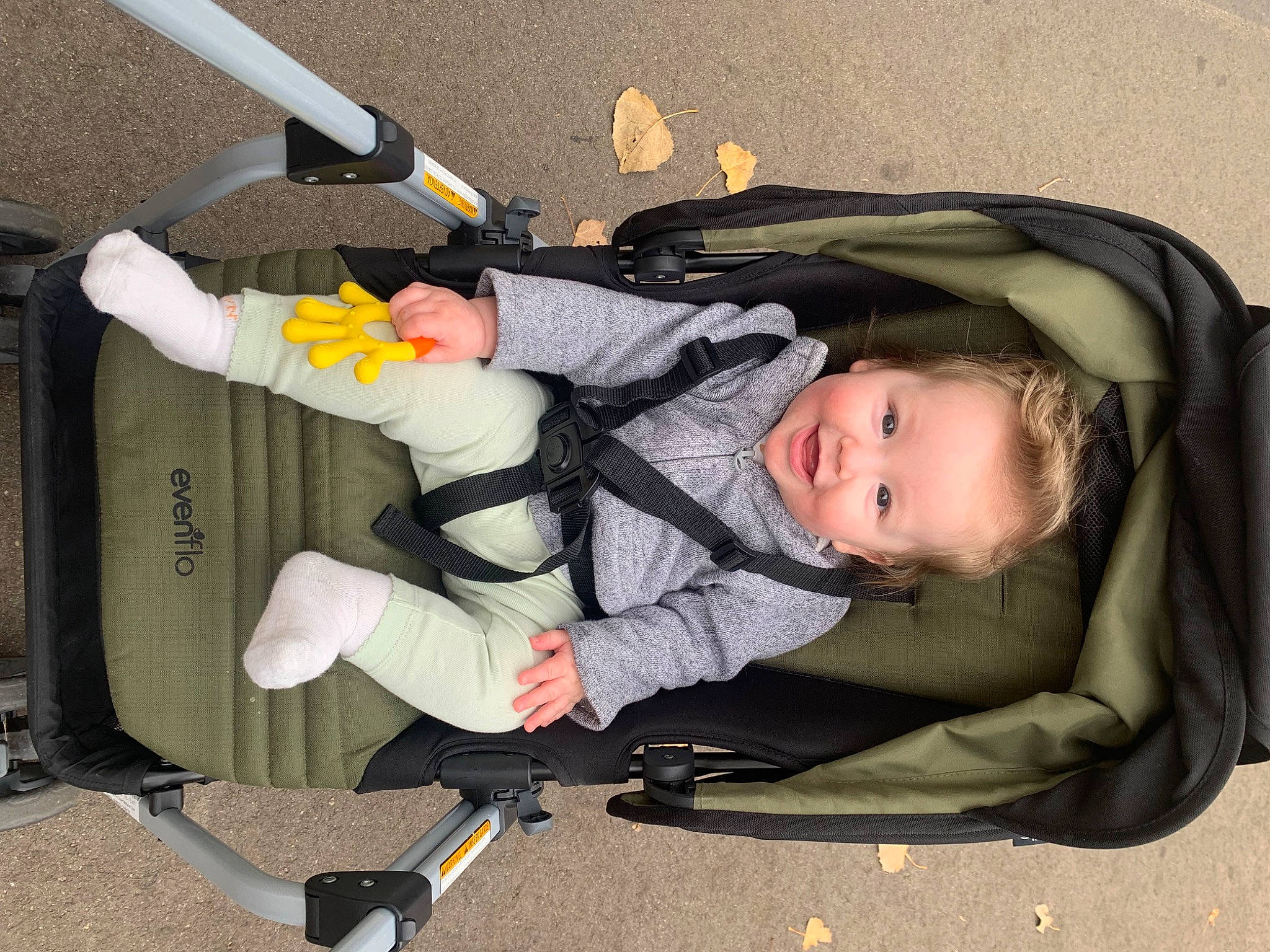 Leda is registered to the contest to win money with this photo: auto_part, baby, baby_carriage, baby_products, baby_toddler_clothing, car_seat, child, comfort, lap, person, personal_protective_equipment, product, sitting, tire, toddler, tree, wheel