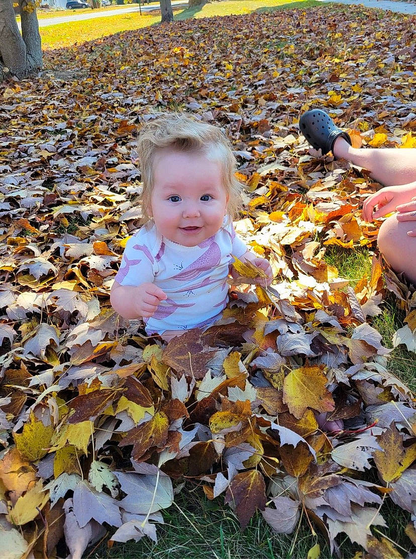 Leda is registered to the contest to win money with this photo: adaptation, baby, beauty, botany, child, deciduous, grass, groundcover, happy, joy, leaf, morning, nature, people, people_in_nature, person, plant, snapshot, sunlight, toddler