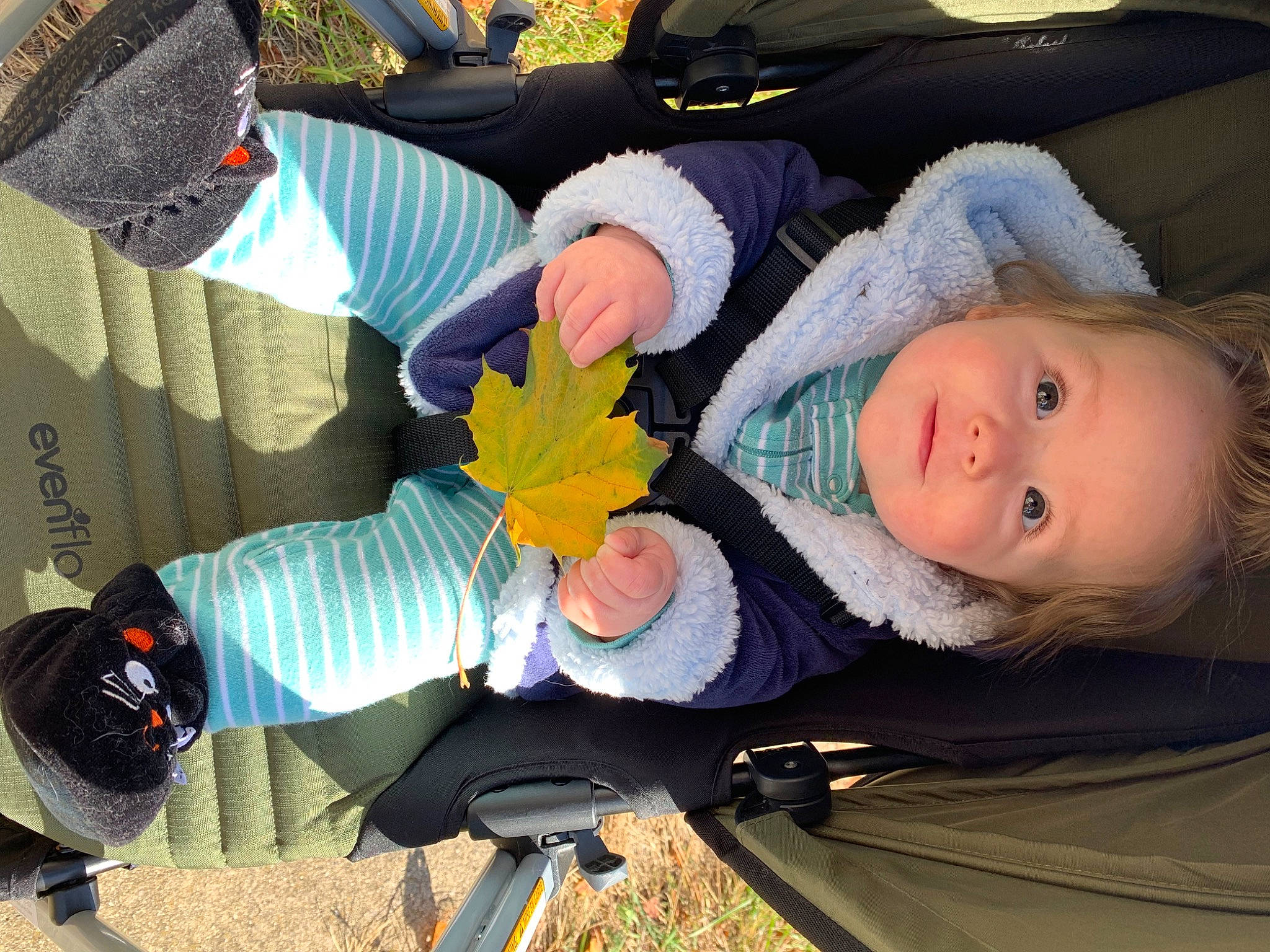 Leda is registered to the contest to win money with this photo: baby, baby_products, baby_toddler_clothing, child, comfort, fun, gesture, glove, lap, person, plant, sitting, stuffed_toy, textile, thumb, toddler, tree, vacation, winter