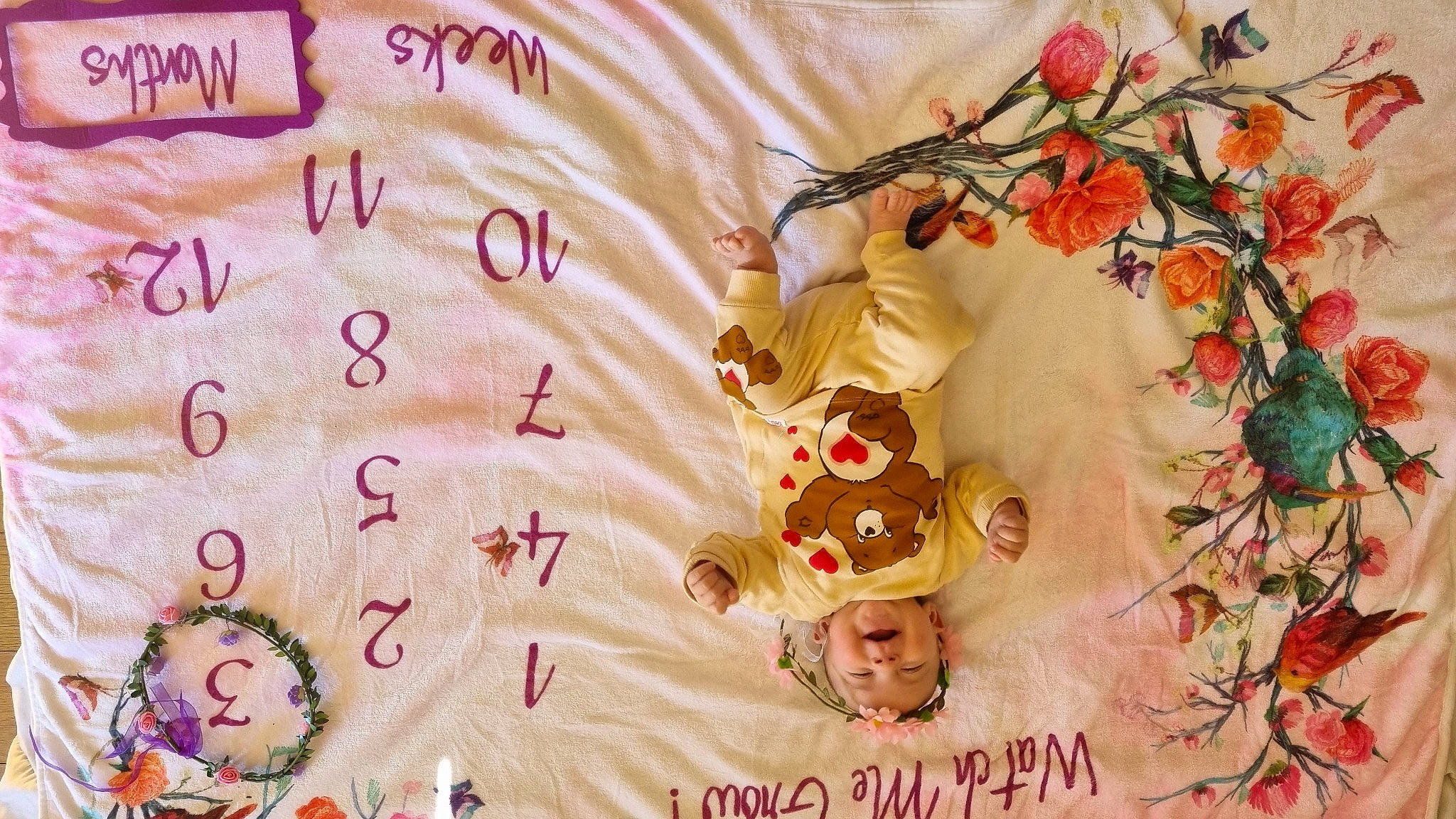 Liana a rejoint le concours — aidez-le/la à gagner de superbes lots ! art, artificial_flower, blossom, craft, creative_arts, flower, font, happy, illustration, linens, magenta, needlework, pattern, peach, person, petal, pink, plant, textile, twig