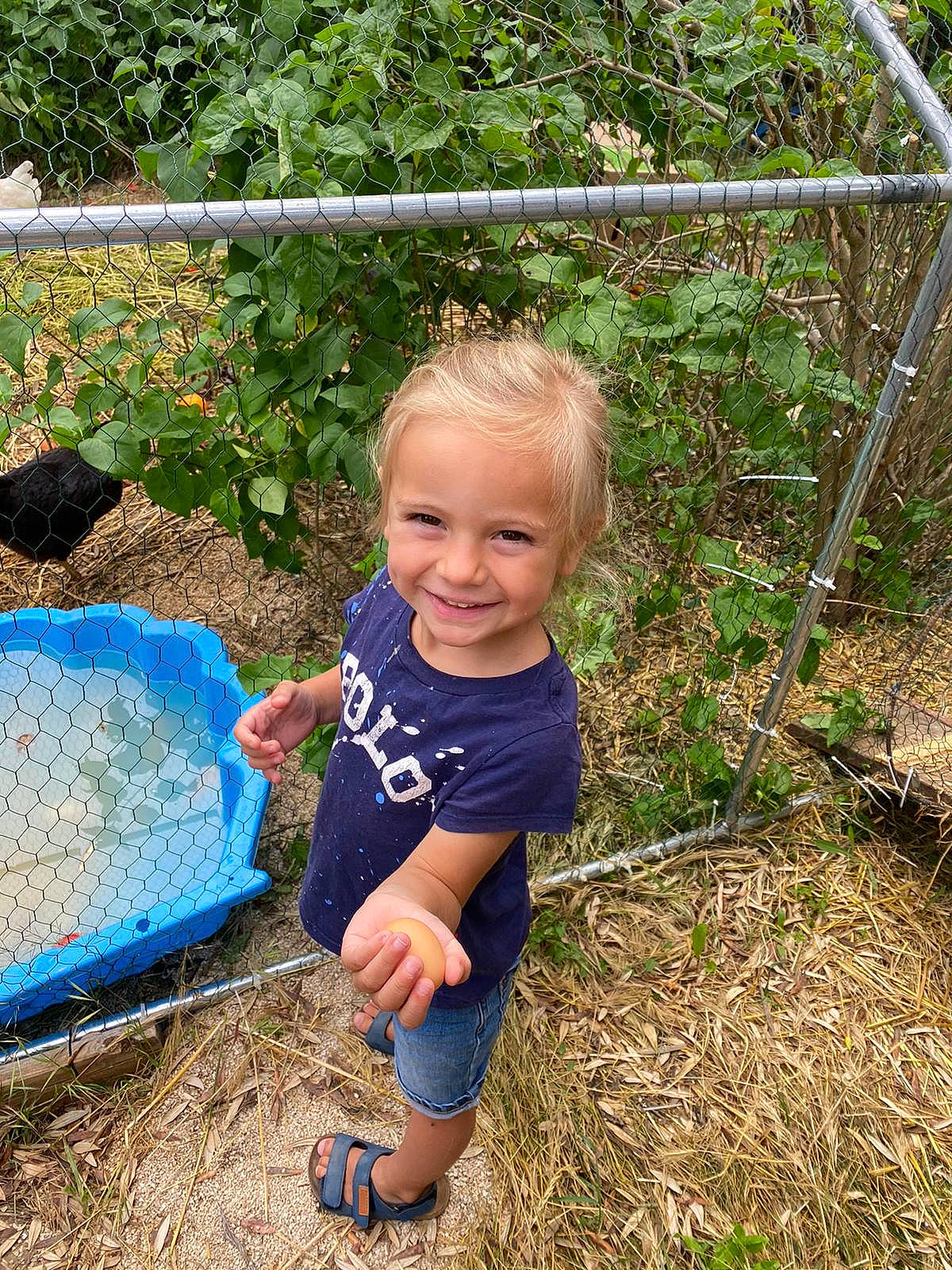 Liam a rejoint le concours — aidez-le/la à gagner de superbes lots ! baby_toddler_clothing, child, electric_blue, fence, fun, garden, gardening, grass, grass_family, hairstyle, happy, joy, landscape, leisure, people_in_nature, person, plant, sitting, smile, soil