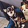 Milou