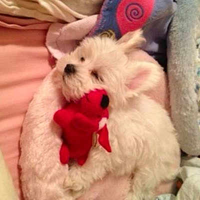 Caty is registered to the contest to win money with this photo: