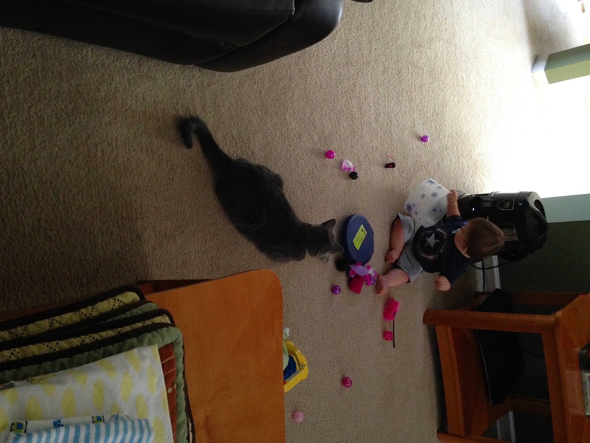 Lucy joined the competition — help win amazing prizes! camera, camera_accessory, camera_lens, cameras_optics, cat, digital_camera, felidae, film_camera, home_accessories, linens, reflex_camera, room, single_lens_reflex_camera, small_to_medium_sized_cats, stuffed_toy, textile, toy