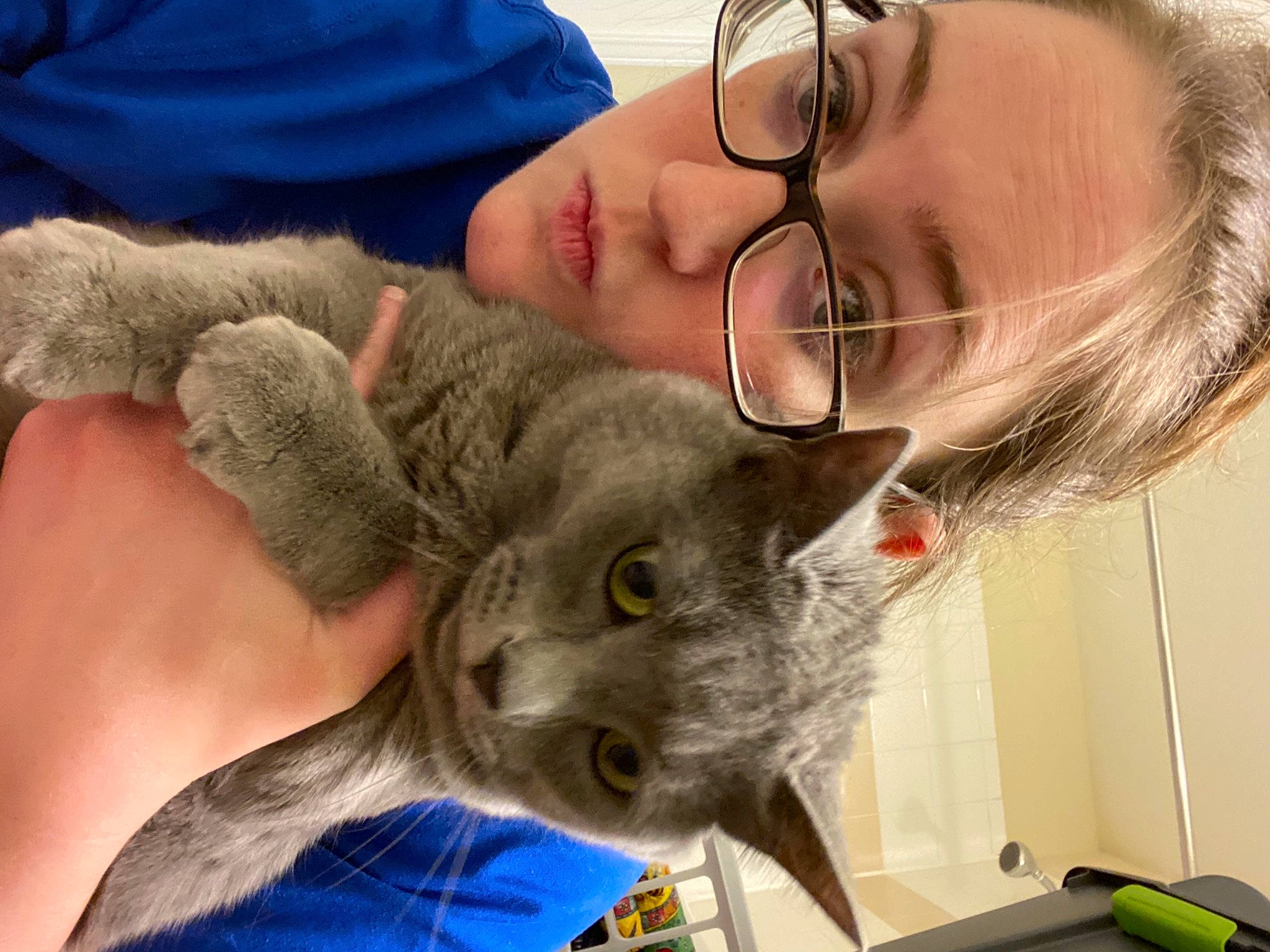 Lucy is registered to the contest to win money with this photo: british_shorthair, carnivore, cat, chartreux, comfort, curious, domestic_short_haired_cat, eyewear, felidae, fur, glasses, human, korat, mammal, nebelung, russian_blue, small_to_medium_sized_cats, vertebrate, vision_care, whiskers
