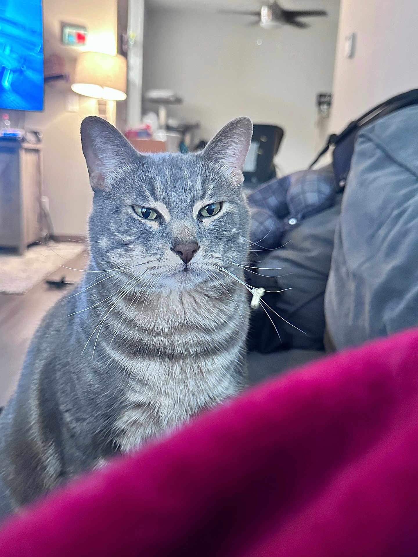Tig