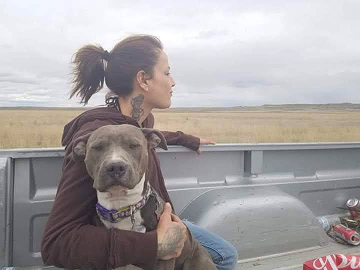 Brooklyn is registered to the contest to win money with this photo: asphalt, canidae, carnivore, cloud, collar, companion_dog, dog, dog_breed, dog_collar, fawn, guard_dog, leash, sky, snout, sporting_group, travel, vehicle_door, wildlife, windshield, working_animal