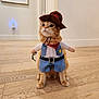 cat, orange_cat, costume, cowboy, hat, vest, bandana, whip, pet, indoor, wooden_floor, cute, animal, feline, domestic_cat, sitting, brown, adorable, playful, room