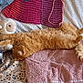 animal, bed, blanket, cat, comfort, cozy, cute, domestic_animal, fur, indoor, orange_cat, pet, plush, relaxation, sleep, sleeping, stretching, stuffed_toy, textile, toy