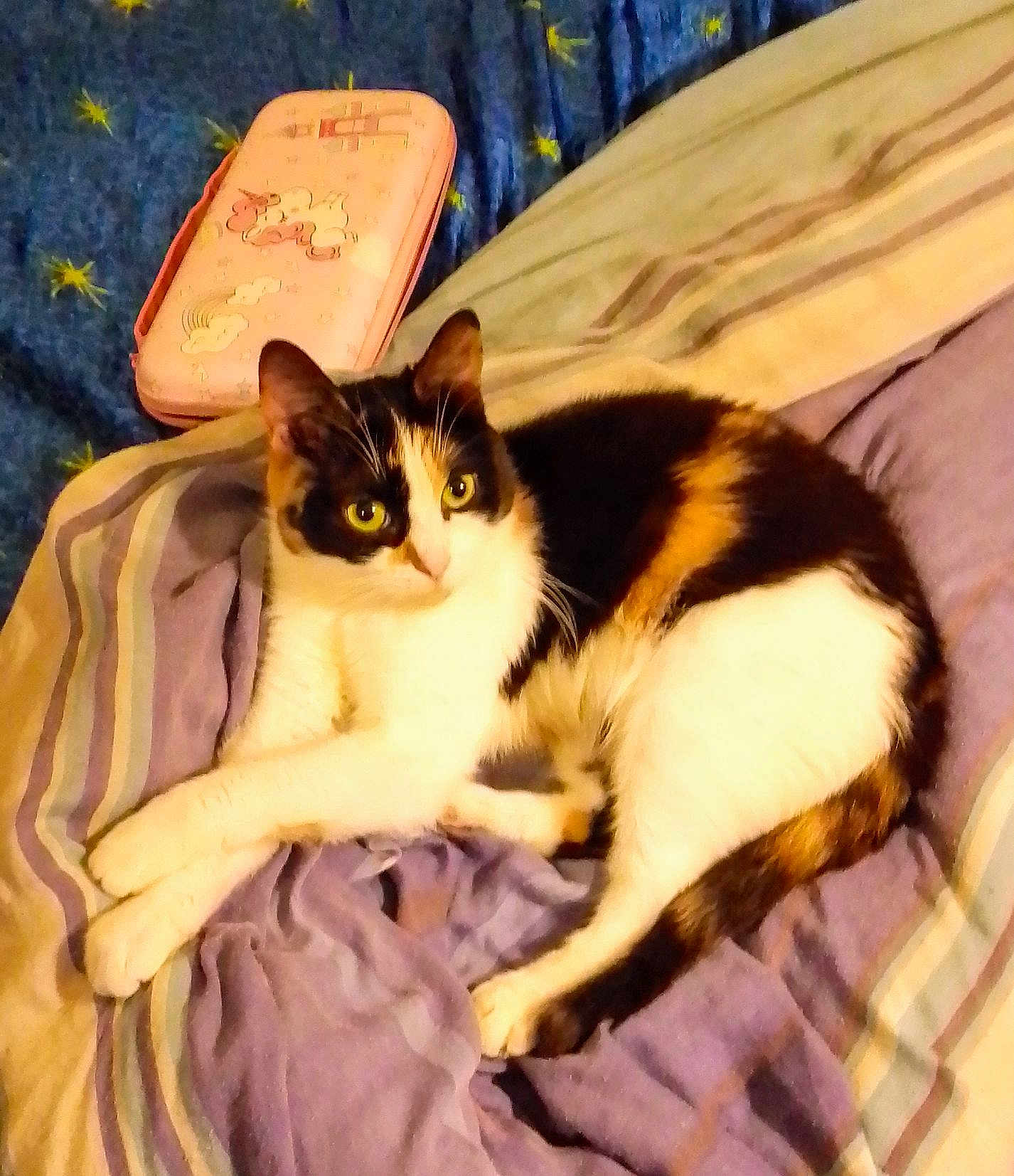 Molly