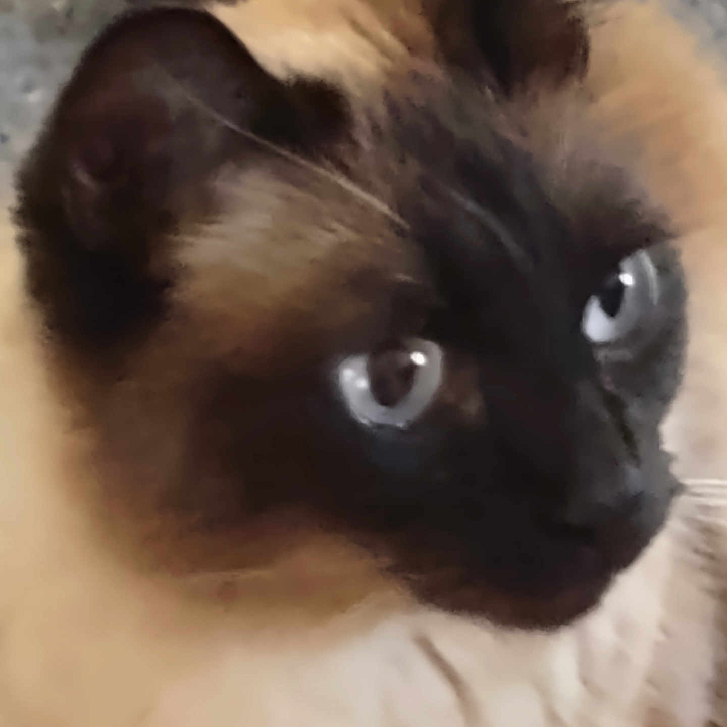 Lucy