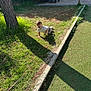Nolan a rejoint le concours — aidez-le/la à gagner de superbes lots ! child, toddler, grass, park, sunlight, shadow, stroller, bench, outdoor, crawling, tree, nature, daylight, casual_clothing, happy, play, young_child, person, greenery, recreation
