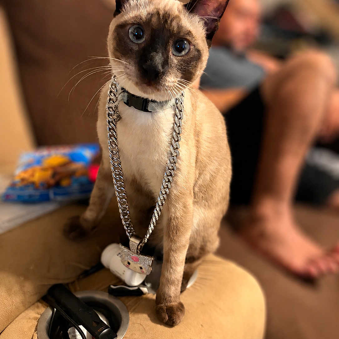 Sammy
