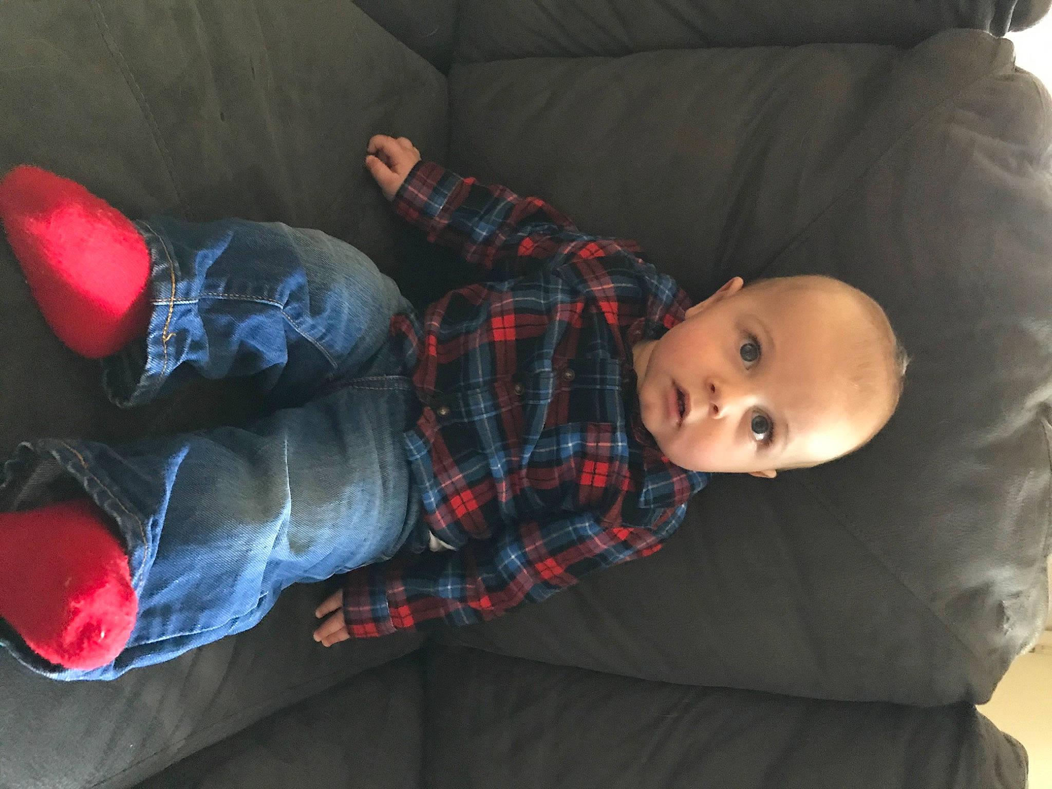 Bo is registered to the contest to win money with this photo: baby, child, comfort, design, leg, pattern, person, plaid, tartan, textile, toddler