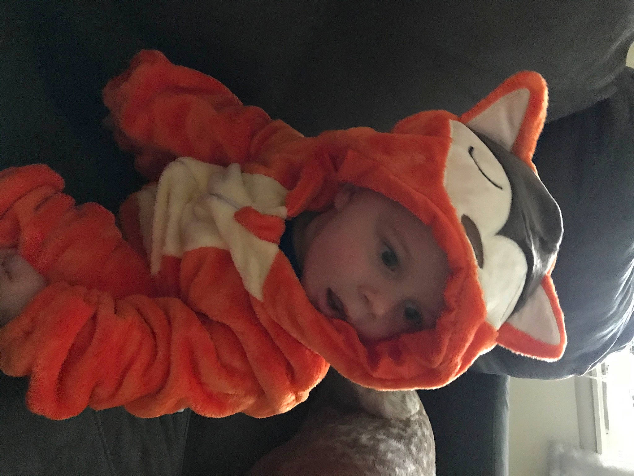 Bo joined the competition — help win amazing prizes! baby, child, headwear, orange, person