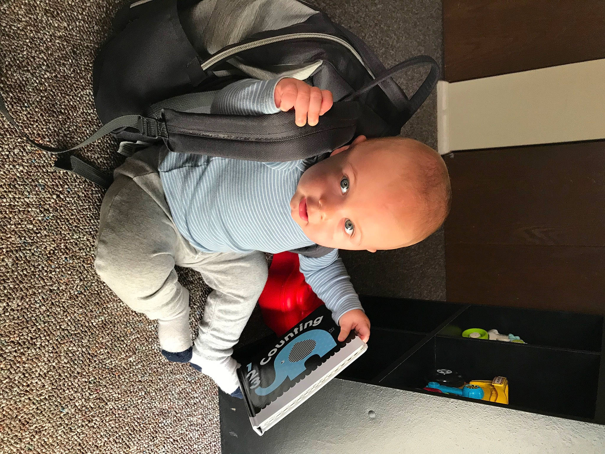 Bo is registered to the contest to win money with this photo: baby, child, electronic_device, glasses, person, play, sitting, technology, toddler