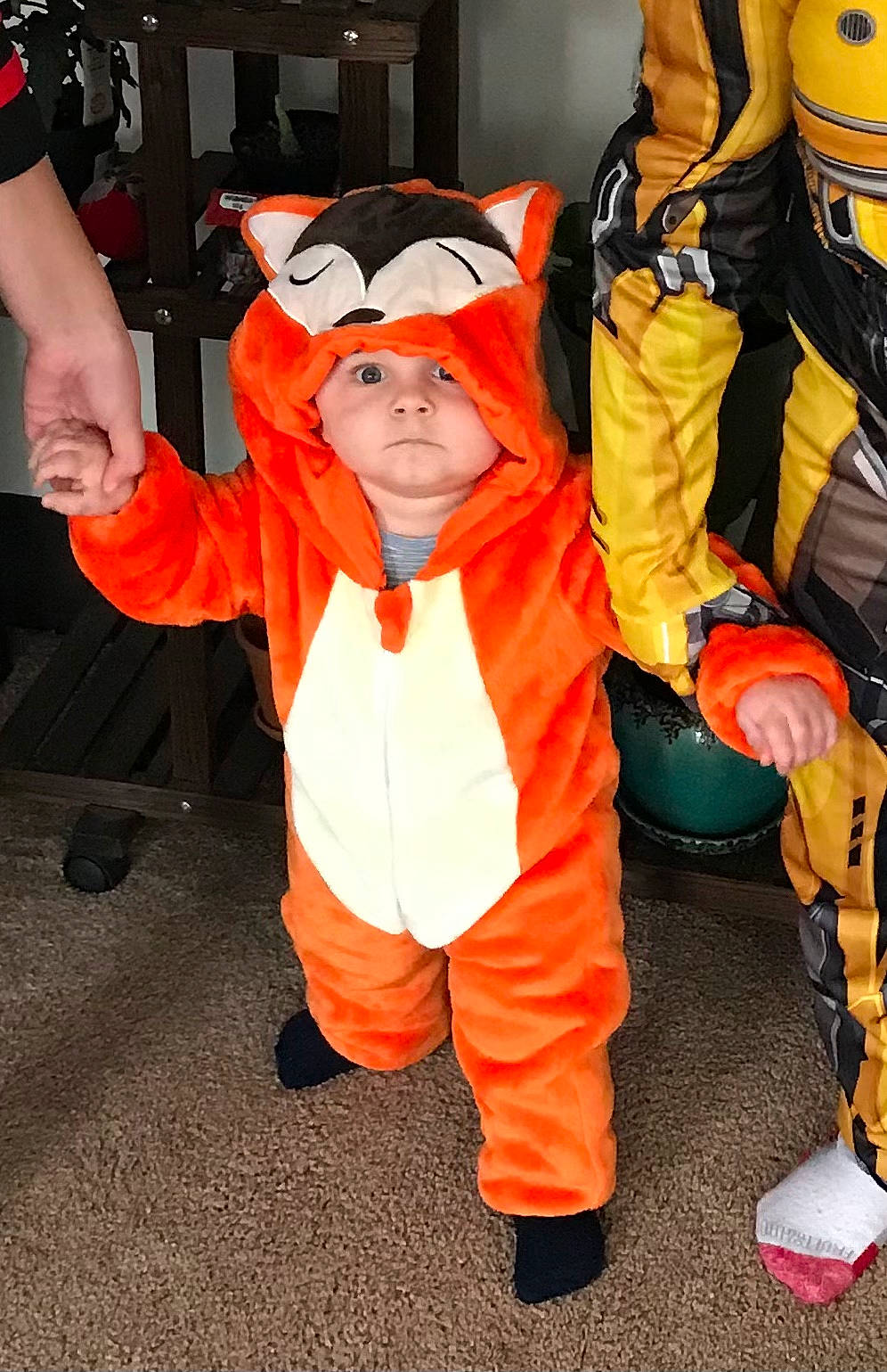 Bo joined the competition — help win amazing prizes! costume, fictional_character, headwear, mascot, orange, person, trick_or_treat