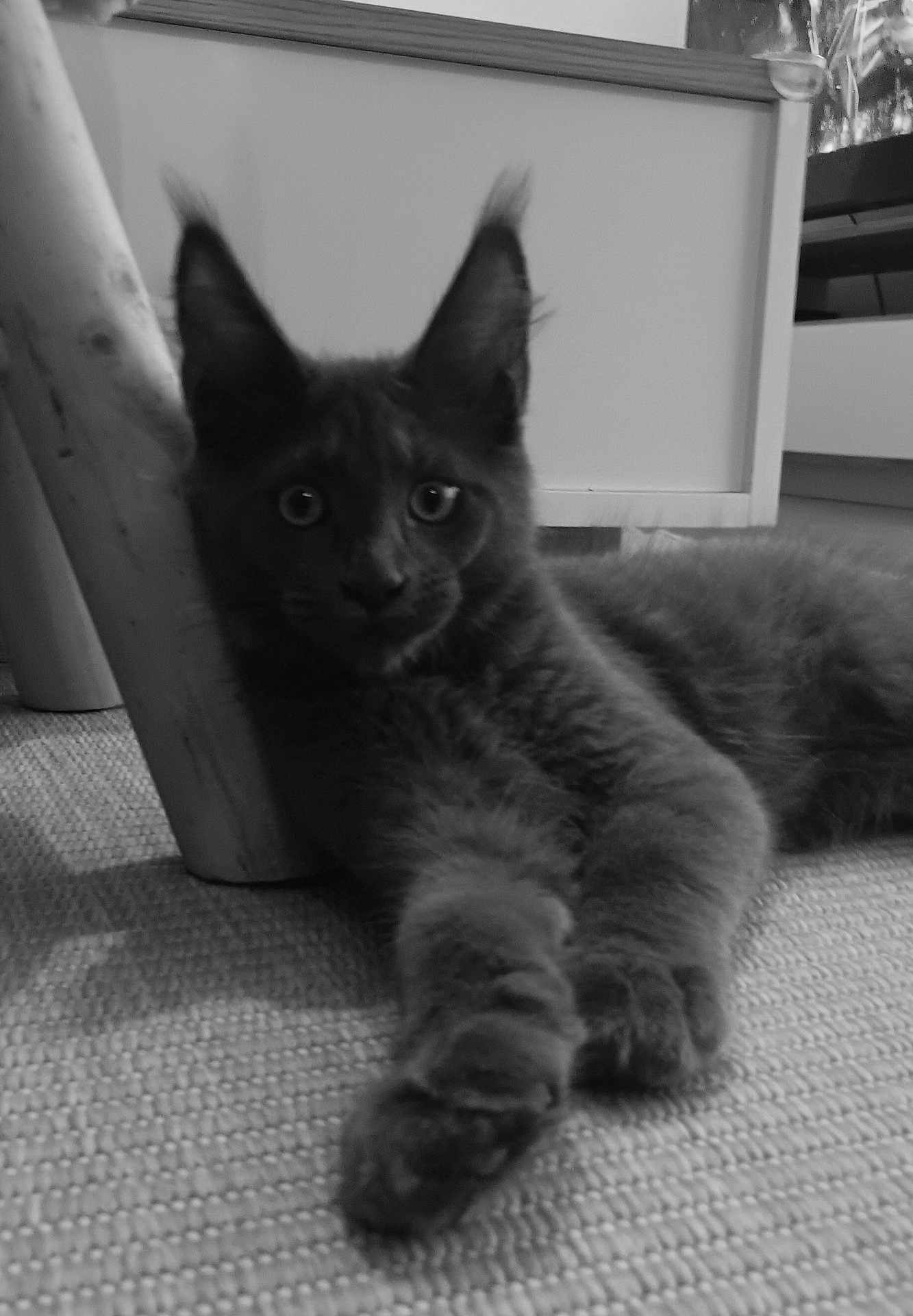 Ares