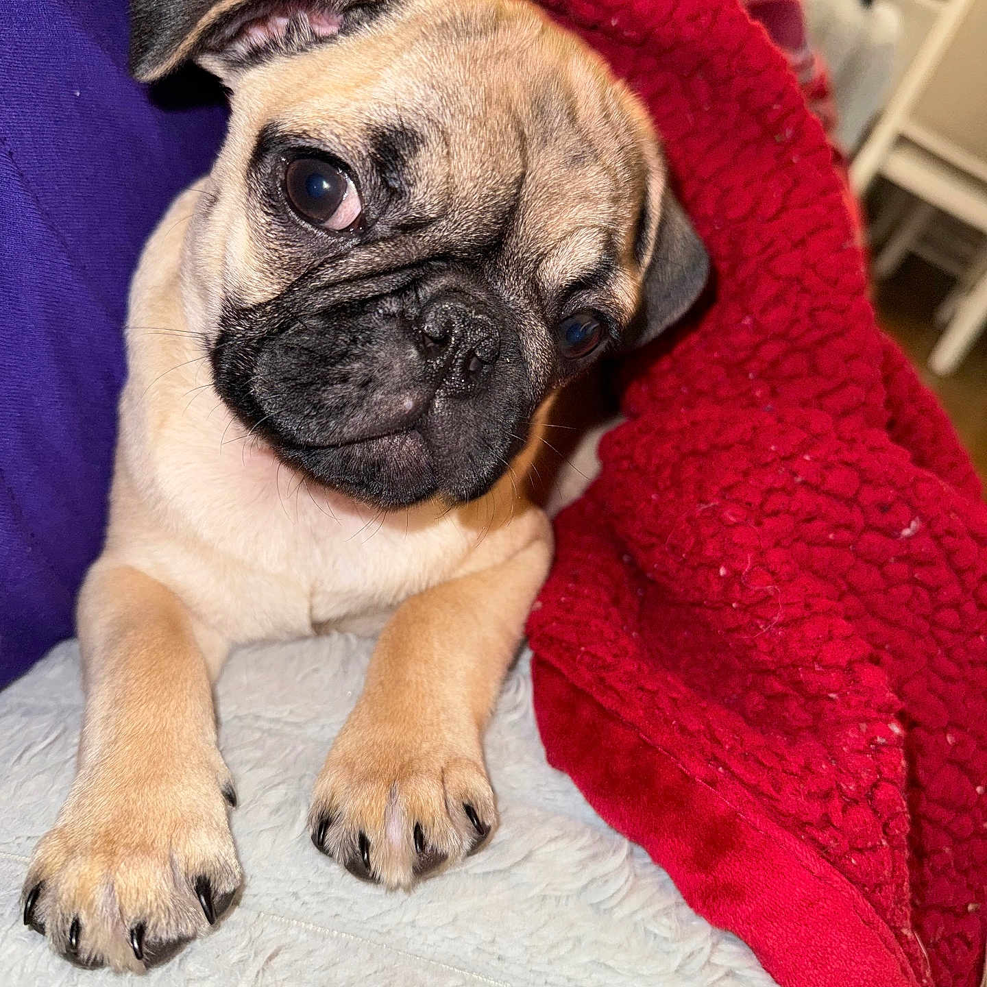 Coco