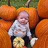 William is registered to the contest to win money with this photo: baby, child, infant, pumpkins, pumpkin_patch, autumn, fall, outdoor, garden, grass, harvest, orange, white_pumpkin, gourds, portrait, sitting, clothing, pumpkin_pattern, nature, seasonal