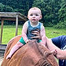 baby, child, horse, horseback_riding, outdoor, forest, grass, animal, equestrian, sitting, supported, infant, striped_shirt, green_shorts, barefoot, portrait, wide_eyed, adult_hand, farm, nature