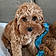Sadie