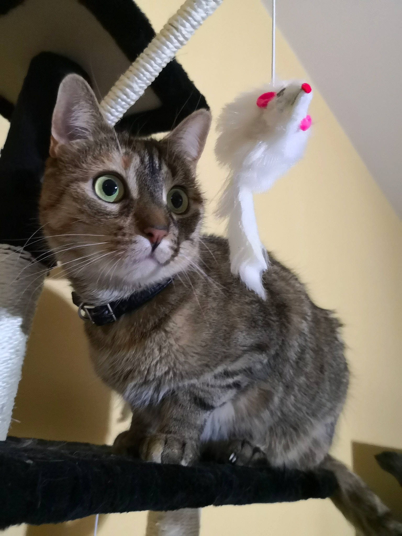 Tina