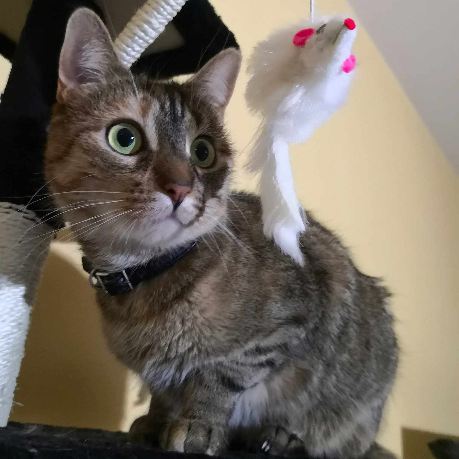 Tina