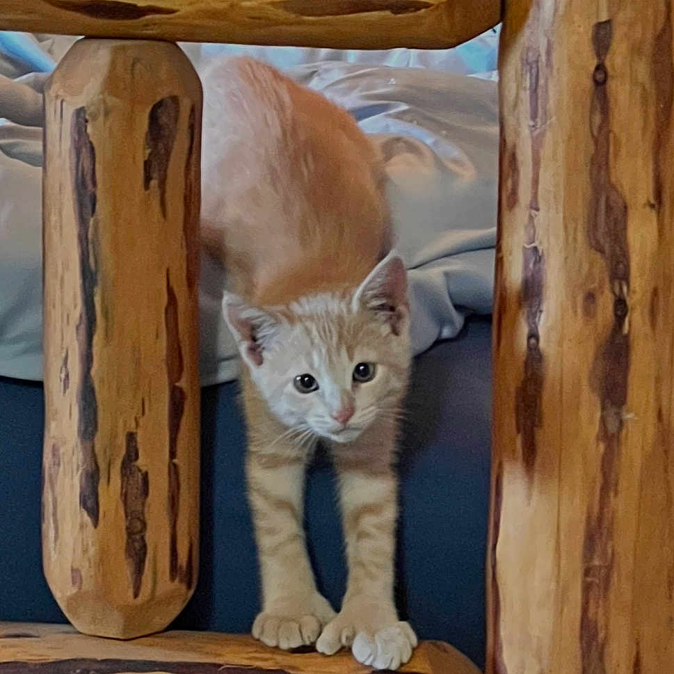 Milo
