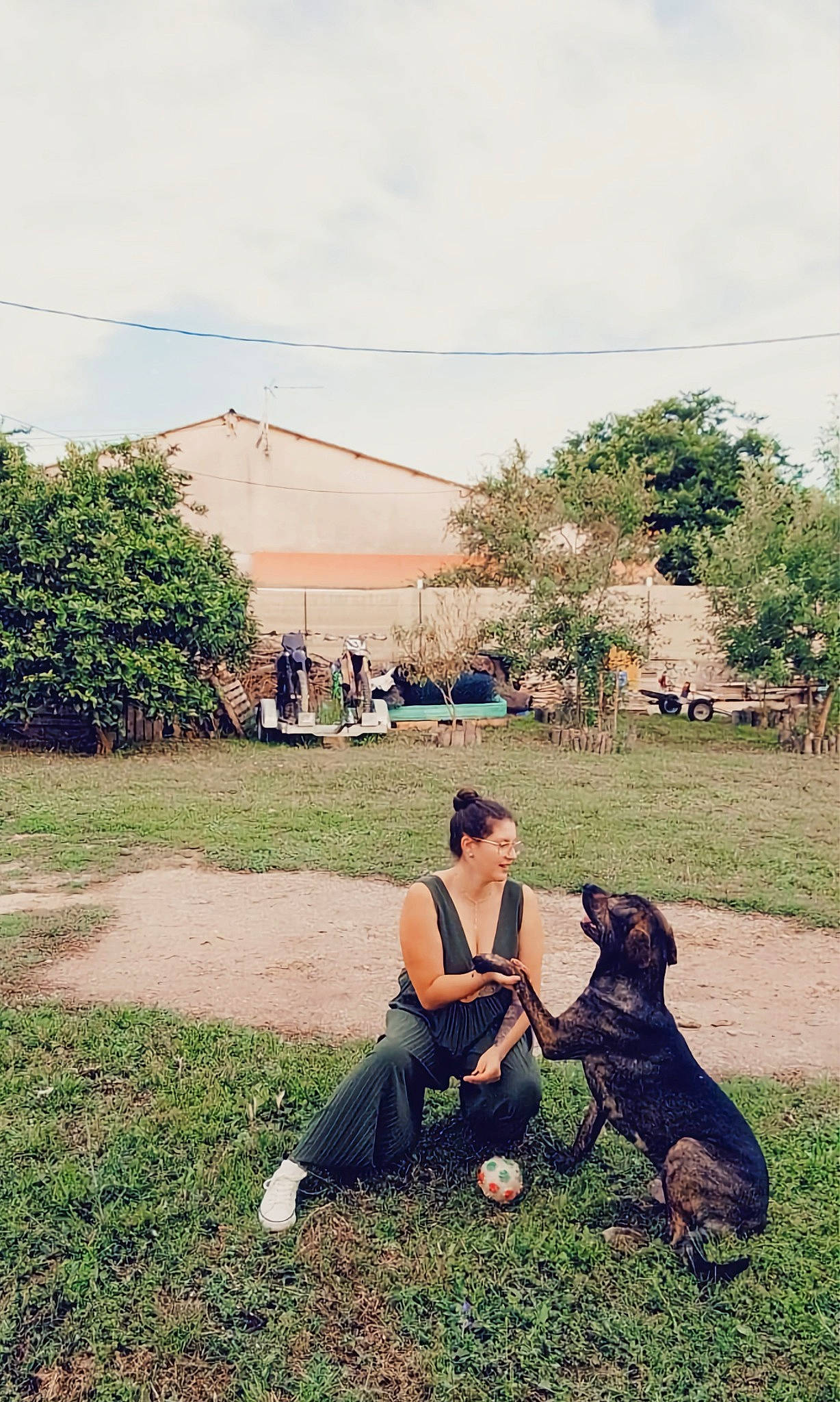 Lucky participe au concours pour gagner de l'argent avec cette photo : carnivore, companion_dog, dog, dog_breed, fawn, fun, grass, grassland, happy, landscape, lawn, leisure, people_in_nature, plant, recreation, sitting, sky, soil, sporting_group, tree