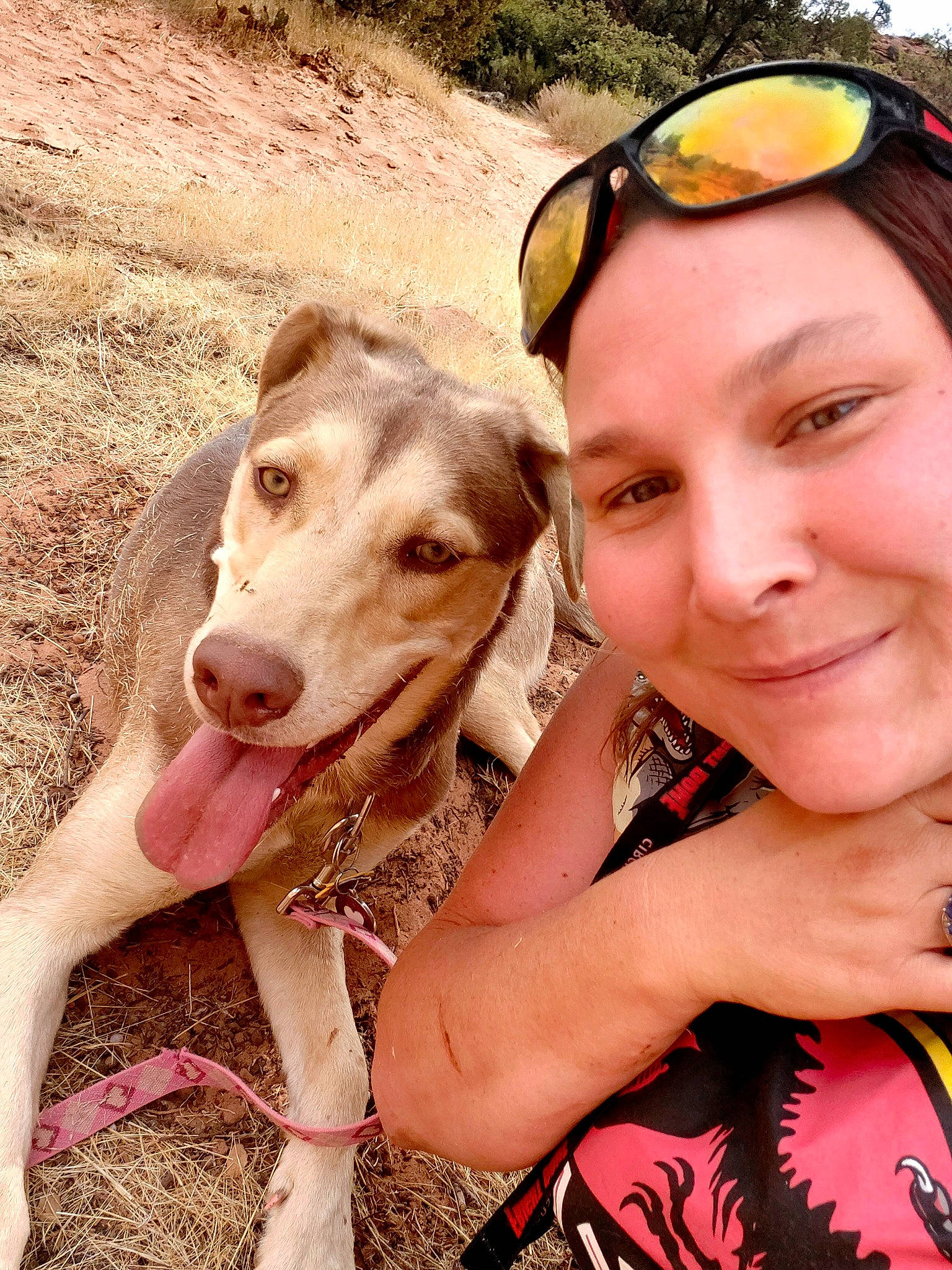 Aurora is registered to the contest to win money with this photo: canidae, carnivore, dog, dog_breed, fawn, nose, photography, selfie, smile, snout, sporting_group